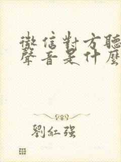 微信对方听不到声音是什么原因