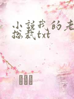 小说我的老婆是总裁txt