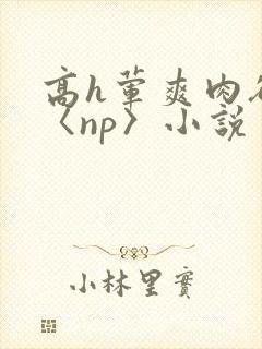 高h荤爽肉欲文〈np〉小说