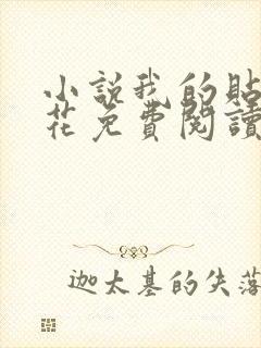 小说我的贴身校花免费阅读全文无窗口