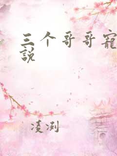 三个哥哥宠的小说
