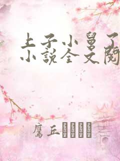 上子小舅了老婆小说全文阅读