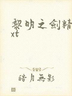 黎明之剑精校txt