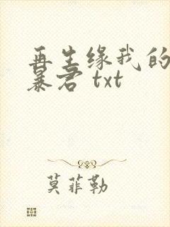 再生缘我的温柔暴君 txt