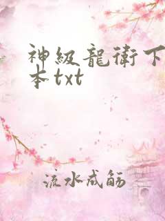 神级龙卫下载全本txt