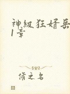 神级狂婿岳风21章