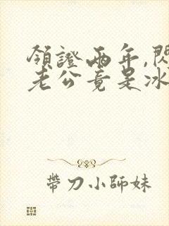 领证两年,闪婚老公竟是冰山上司