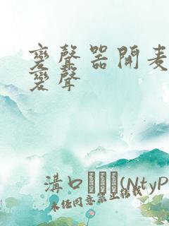 变声器开麦就能变声