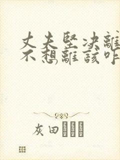 丈夫坚决离婚我不想离该咋样挽救