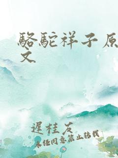 骆驼祥子原著全文