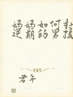 妈妈如何对待叛逆期的男孩子