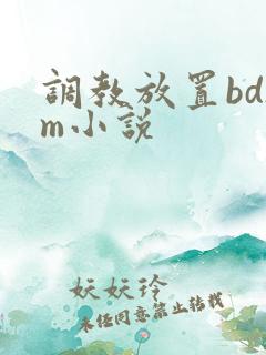 调教放置bdsm小说