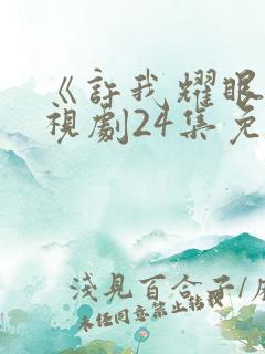 《许我耀眼》电视剧24集免费观看