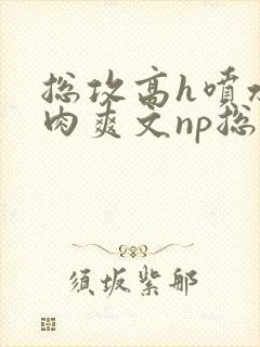 总攻高h喷水荡肉爽文np总攻