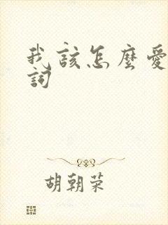 我该怎么爱你歌词