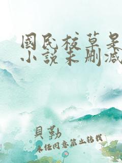 国民校草是女生小说未删减版