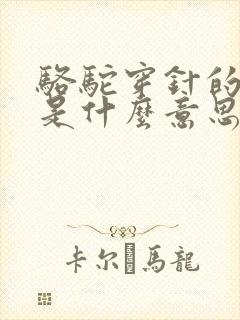 骆驼穿针的天堂是什么意思