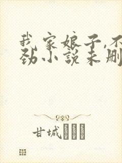 我家娘子,不对劲小说未删版全文