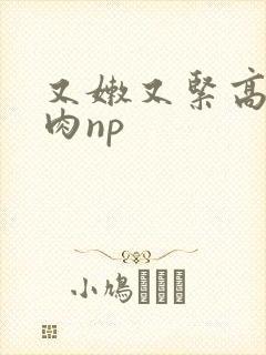 又嫩又紧高h纯肉np