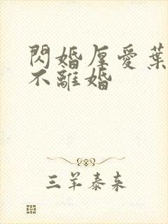 闪婚厚爱叶先生不离婚