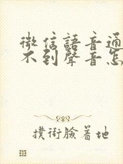 微信语音通话听不到声音怎么办