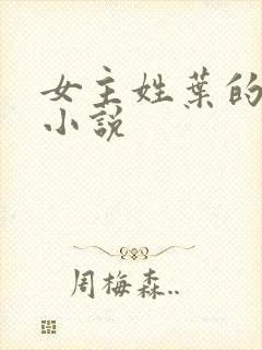 女主姓叶的古代小说