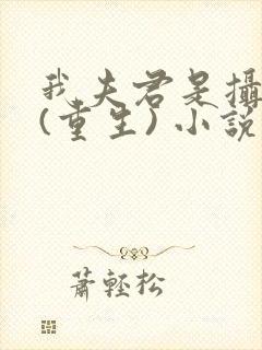 我夫君是摄政王(重生) 小说