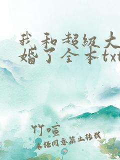 我和超级大佬隐婚了全本txt下载