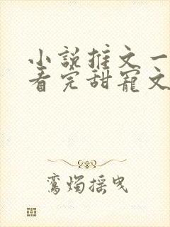 小说推文一口气看完甜宠文