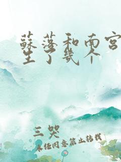 苏落和南宫流云生了几个