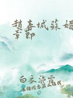 赵春城苏媚最新章节