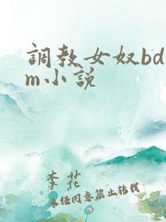 调教女奴bdsm小说