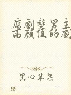 腐剧双男主都是高颜值的剧