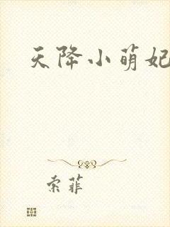 天降小萌妃