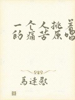 一个人挑着孤单的痛苦原唱完整版