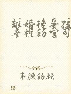 离婚后争孩子抚养权的官司