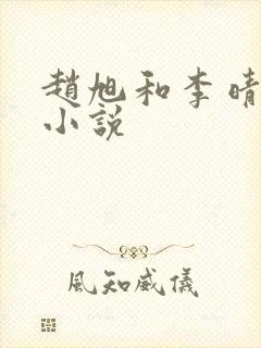 赵旭和李晴晴的小说