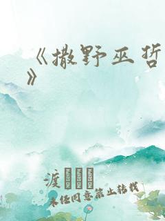 《撒野巫哲小说》