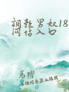 调教男奴18禁网站入口