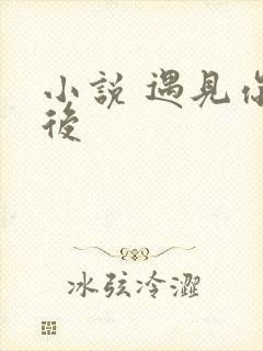 小说 遇见你以后