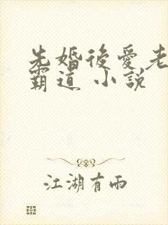 先婚后爱老公太霸道 小说