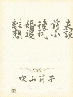 离婚后前夫总是想追我小说完整版