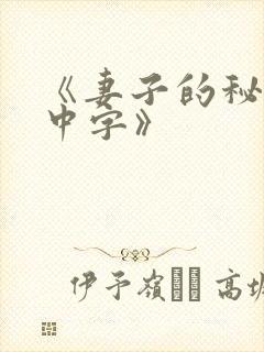 《妻子的秘密3中字》