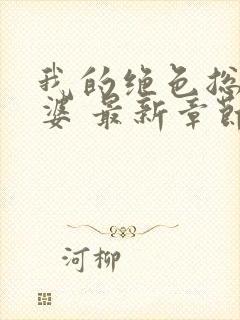 我的绝色总裁老婆 最新章节