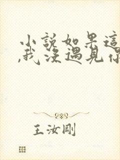 小说如果这一秒,我没遇见你全文