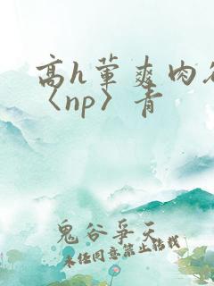 高h荤爽肉欲文〈np〉青