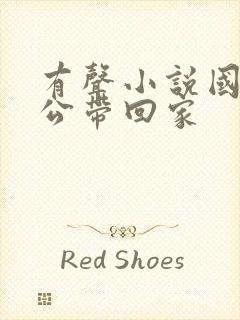 有声小说国民老公带回家