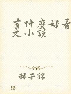 有什么好看的爽文小说