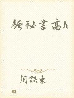 骚秘书高h