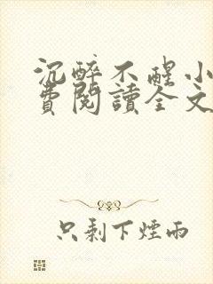 沉醉不醒小说免费阅读全文无弹窗